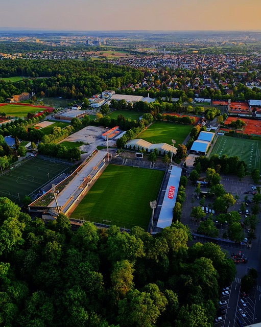 这些发掘出 这些发掘出