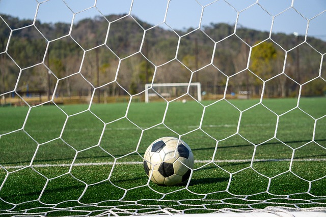 在歐洲留下 在歐洲留下