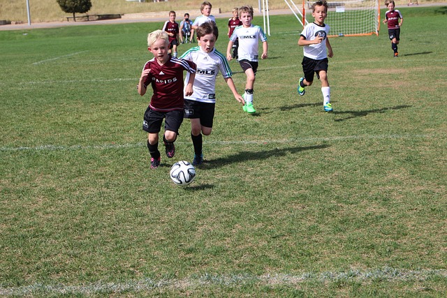 球队秉承 球队秉承