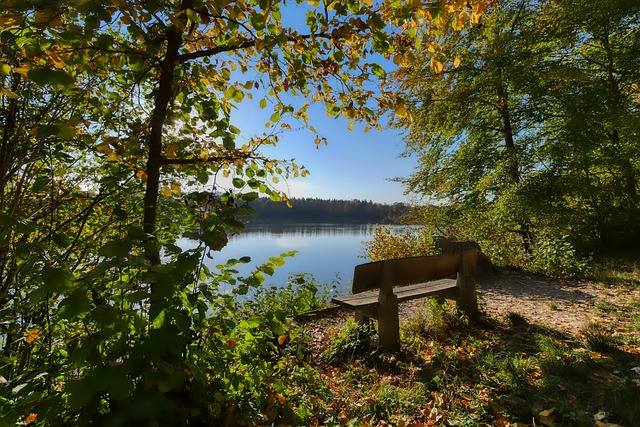 这需要管理 这需要管理