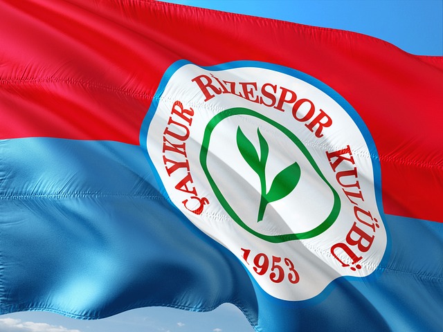 如今效力拜 如今效力拜