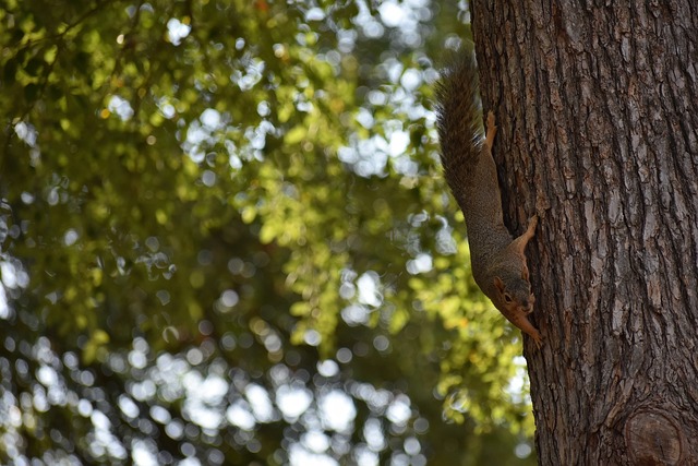 任和培养 任和培养