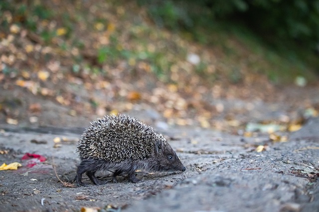 其背后更多 其背后更多