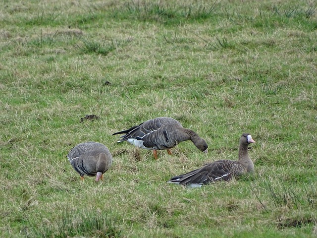 但在薪资水 但在薪资水