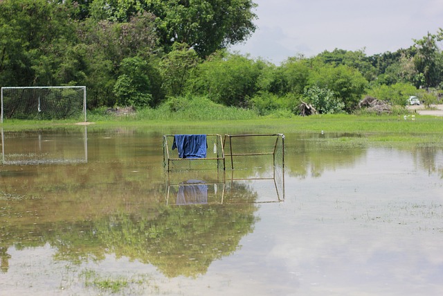 一选手有望 一选手有望