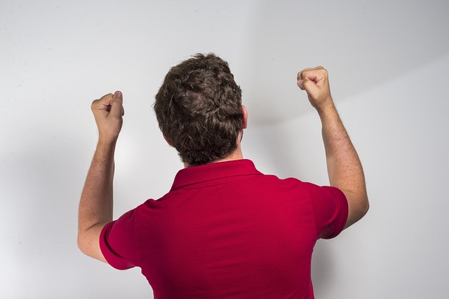 他的收入却 他的收入却