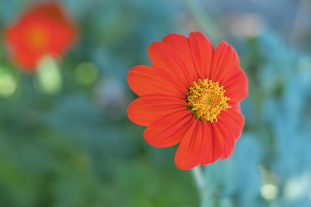 和中国队包 和中国队包