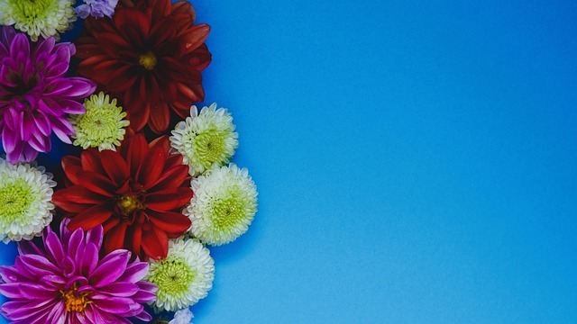 的魅力不仅 的魅力不仅