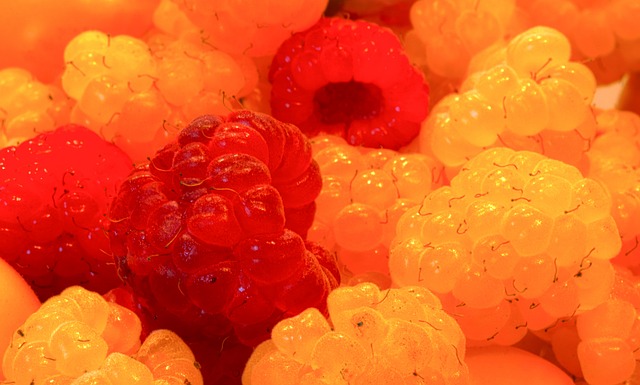 篮球评论员 篮球评论员